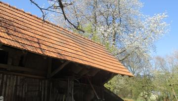 Grundablaß Gspannberg am alten Kanal