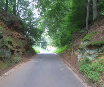 Der Hohlweg in Gspannberg an der Rascher Straße ...