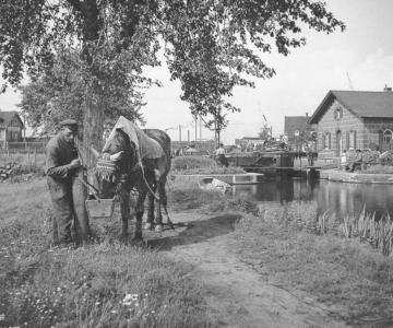 Der Ludwig-Donau-Main-Kanal oder der alte Kanal