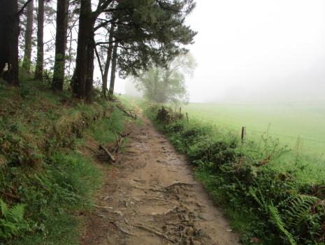 Camino del Norte - Der Küstenweg