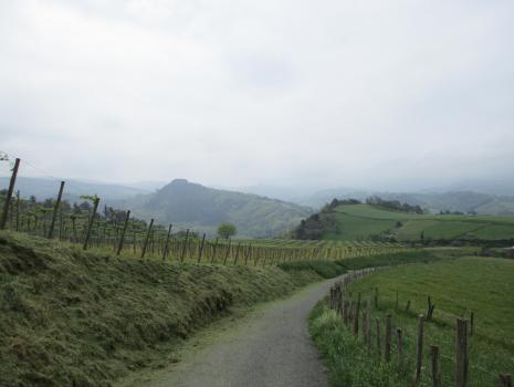 Camino del Norte - Der Küstenweg