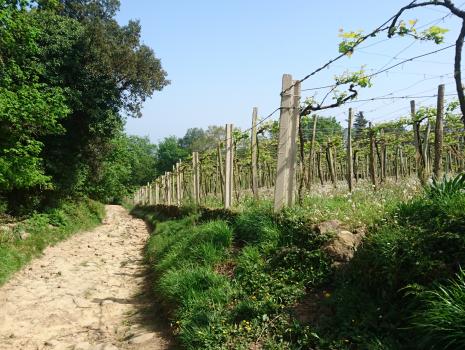 Camino del Norte - Der Küstenweg