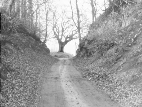 Historische Grenze oder die schönsten Grenzwanderwege ...