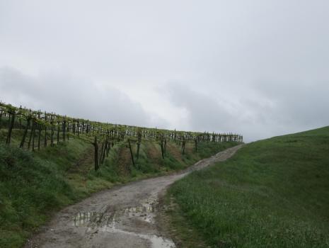 Camino del Norte - Der Küstenweg