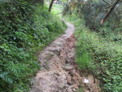 Camino del Norte - Der Küstenweg