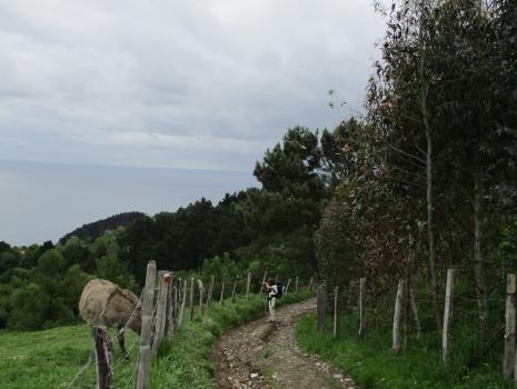 Camino del Norte - Der Küstenweg