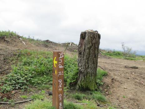 Camino del Norte - Der Küstenweg