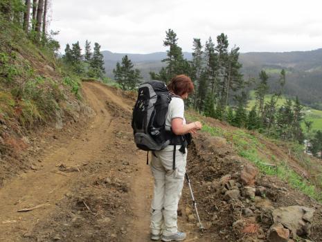 Camino del Norte - Der Küstenweg