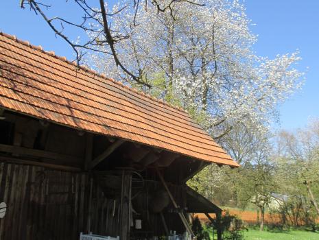 Historische Grenze oder die schönsten Grenzwanderwege ...