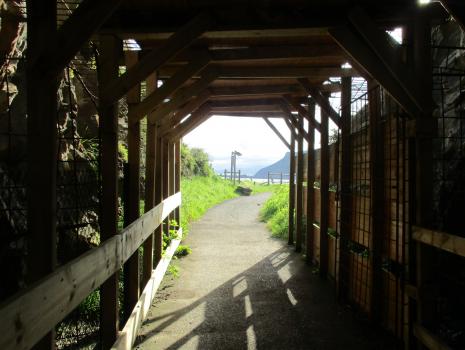 Camino del Norte - Der Küstenweg