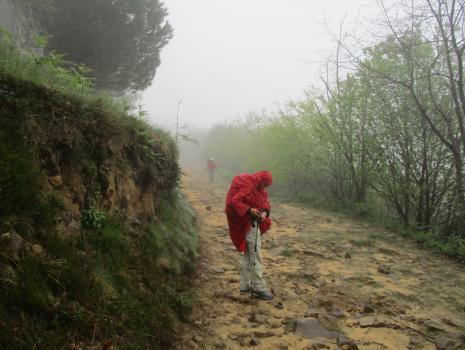 Camino del Norte - Der Küstenweg