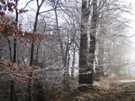 Der wandernde Mann ohne Kopf ...