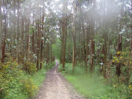 Camino del Norte - Der Küstenweg