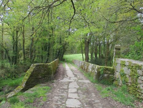 Camino del Norte - Der Küstenweg