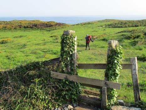 Camino del Norte - Der Küstenweg