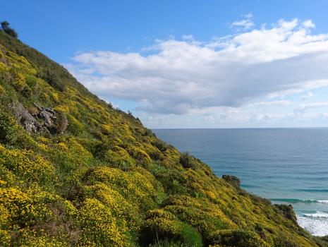 Camino del Norte - Der Küstenweg