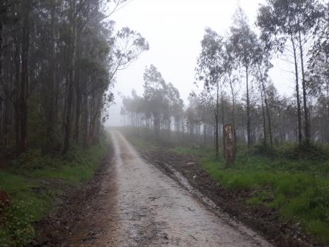 Camino del Norte - Der Küstenweg