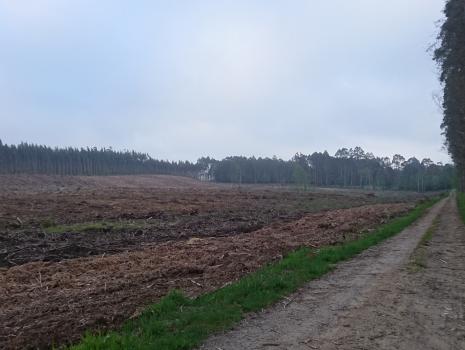 Camino del Norte - Der Küstenweg