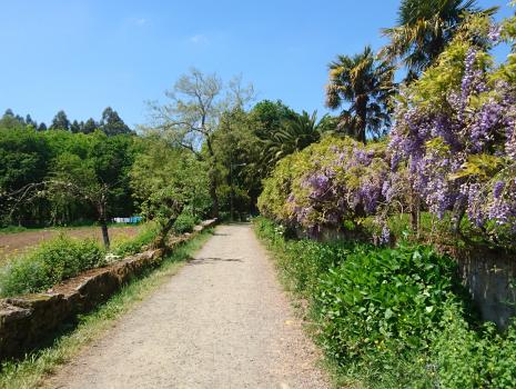 Camino del Norte - Der Küstenweg