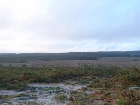 Camino del Norte - Der Küstenweg