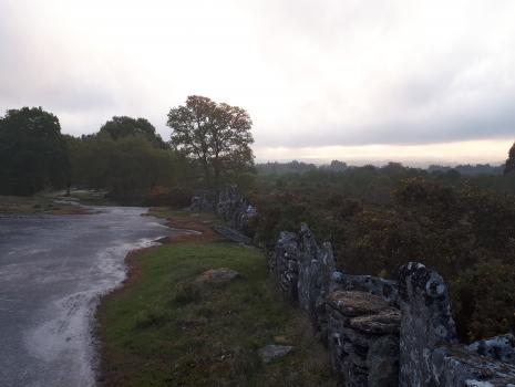 Camino del Norte - Der Küstenweg