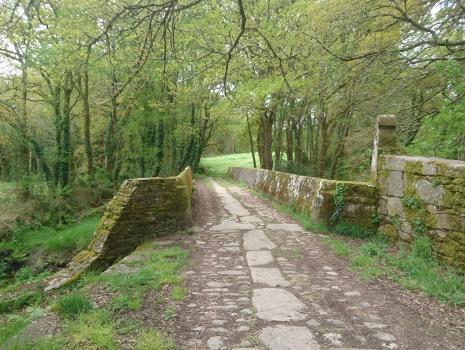 Camino del Norte - Der Küstenweg