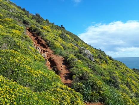 Camino del Norte - Der Küstenweg