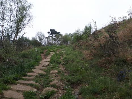 Camino del Norte - Der Küstenweg