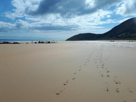 Camino del Norte - Der Küstenweg