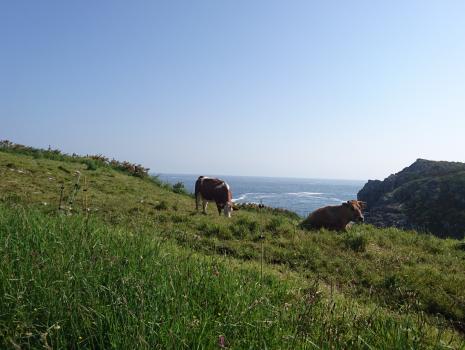 Camino del Norte - Der Küstenweg