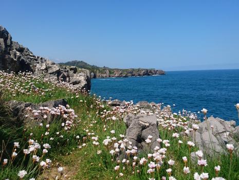 Camino del Norte - Der Küstenweg