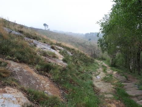 Camino del Norte - Der Küstenweg