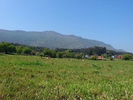 Camino del Norte - Der Küstenweg