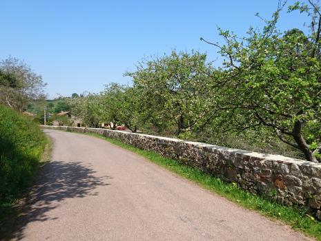 Camino del Norte - Der Küstenweg