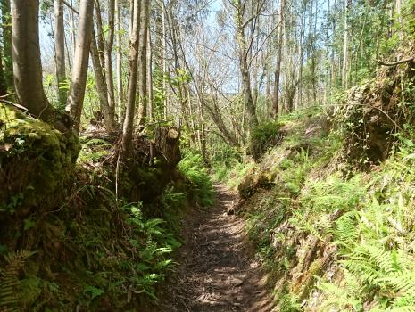 Camino del Norte - Der Küstenweg