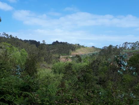 Camino del Norte - Der Küstenweg