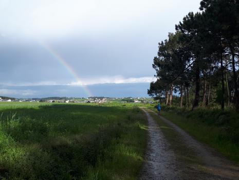 Camino del Norte - Der Küstenweg