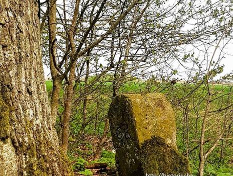 Historische Grenze oder die schönsten Grenzwanderwege ...