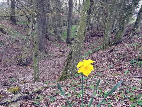 Historische Grenze oder die schönsten Grenzwanderwege ...