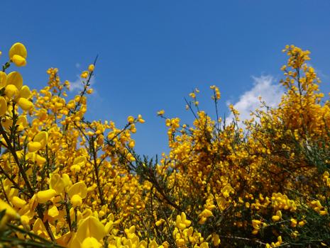 Camino del Norte - Der Küstenweg