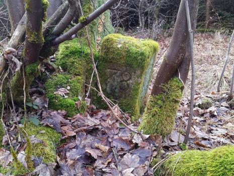 Historische Grenze oder die schönsten Grenzwanderwege ...