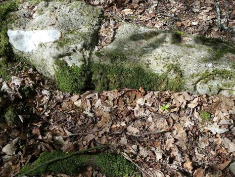 Historische Grenze oder die schönsten Grenzwanderwege ...