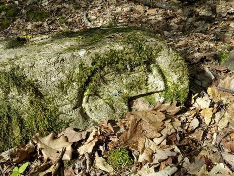 Historische Grenze oder die schönsten Grenzwanderwege ...