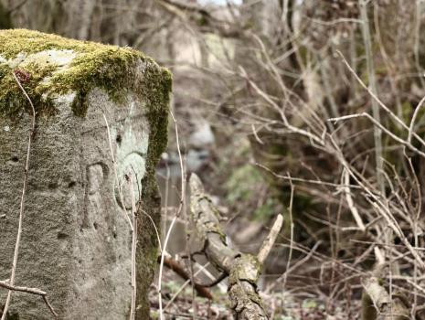 Historische Grenze oder die schönsten Grenzwanderwege ...