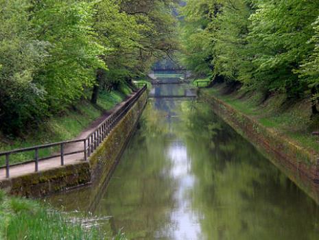 Patenstrecke am Fünf Flüsse Radweg