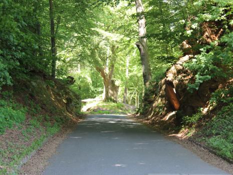 Historische Grenze oder die schönsten Grenzwanderwege ...