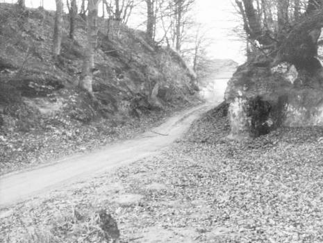 Historische Grenze oder die schönsten Grenzwanderwege ...