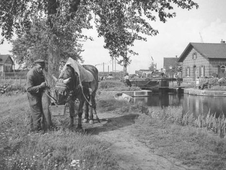 Der Ludwig-Donau-Main-Kanal oder der alte Kanal