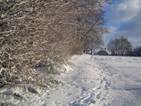 Grundablaß Gspannberg am alten Kanal