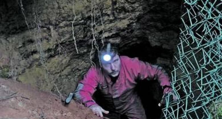 Höhlen, Stollen, Keller: Forscher untersuchen Waldgebiet